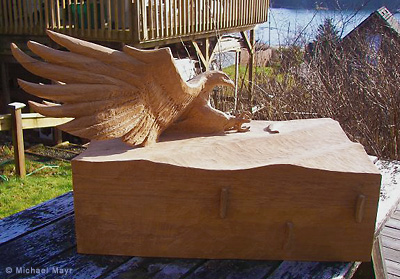 Eagle by Michael Mayr