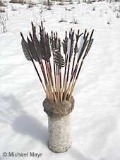 Bows and quiver made by Michael Mayr